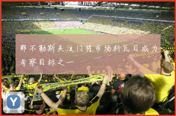 那不勒斯关注门将市场科瓦日成为考察目标之一